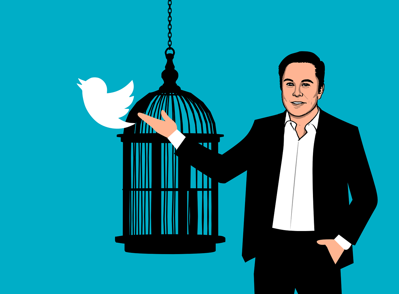 Elon Musik befreit Twitter-Vogel